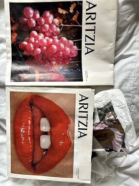 ARITZIA BAGS ONLY